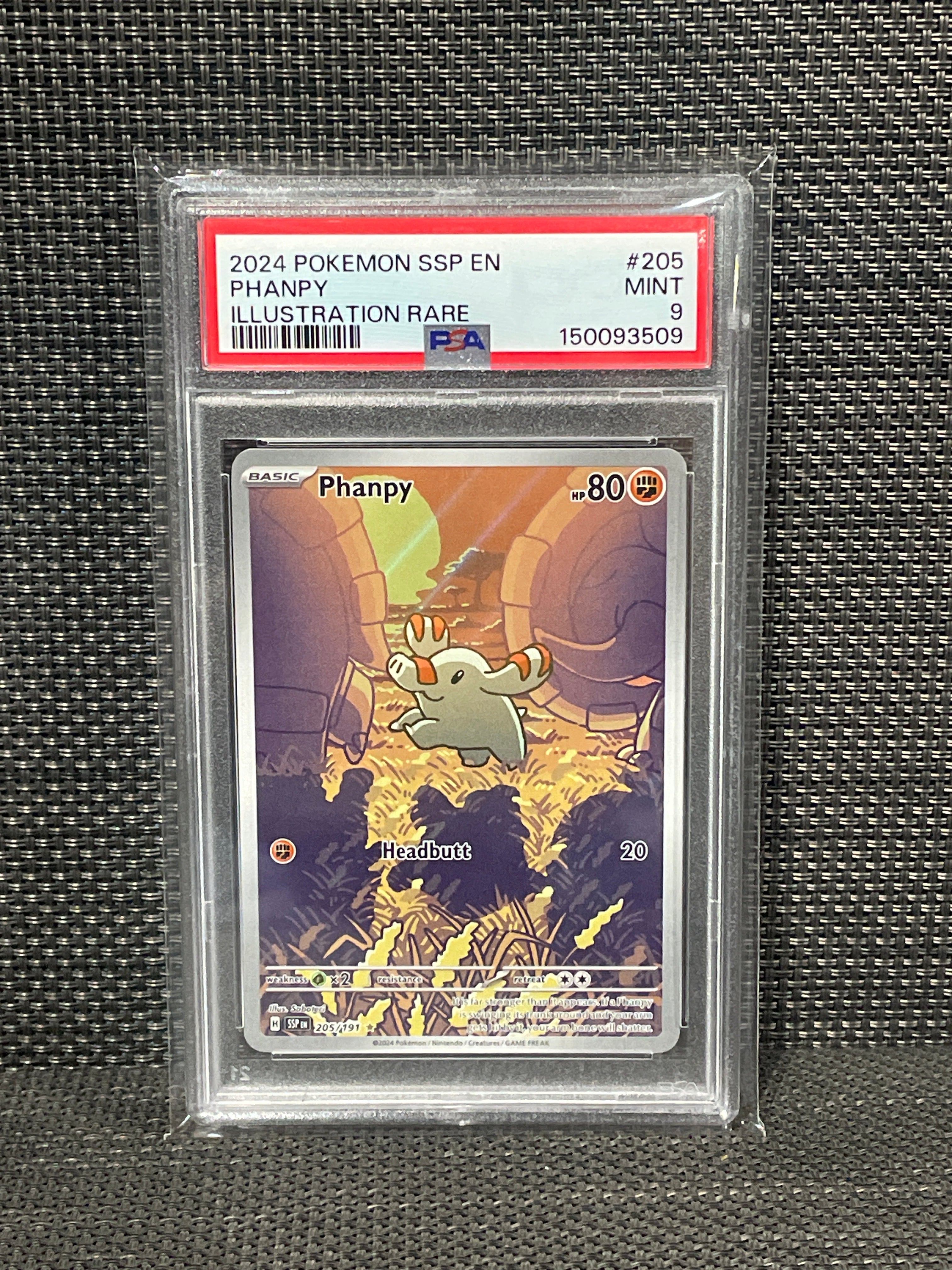 PSA 9 Phanpy – #205/191 2024 Pokemon Surging Sparks