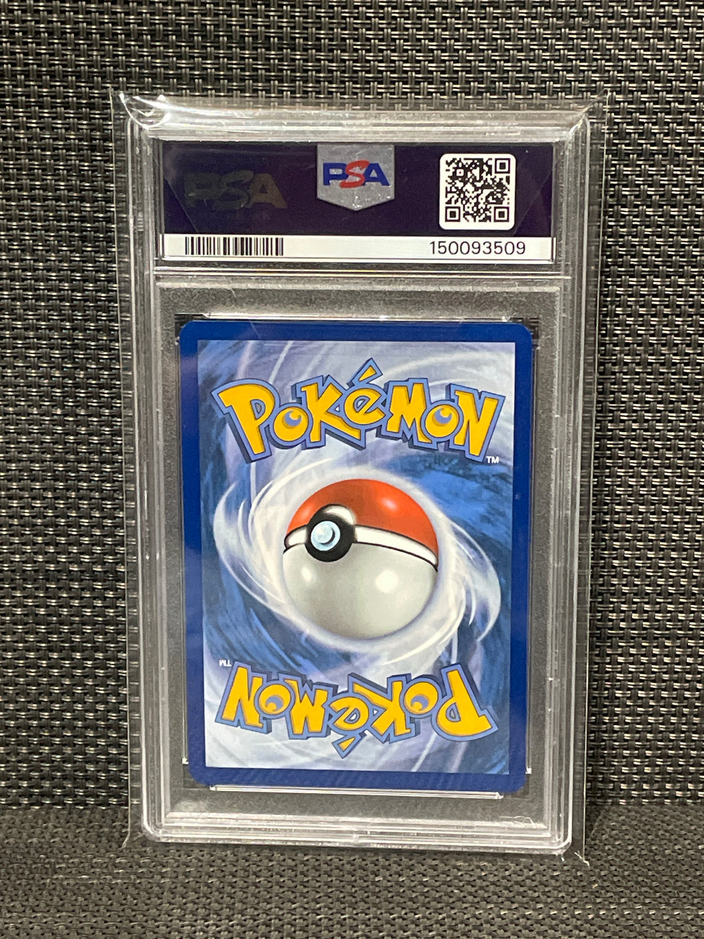 PSA 9 Phanpy – #205/191 2024 Pokemon Surging Sparks